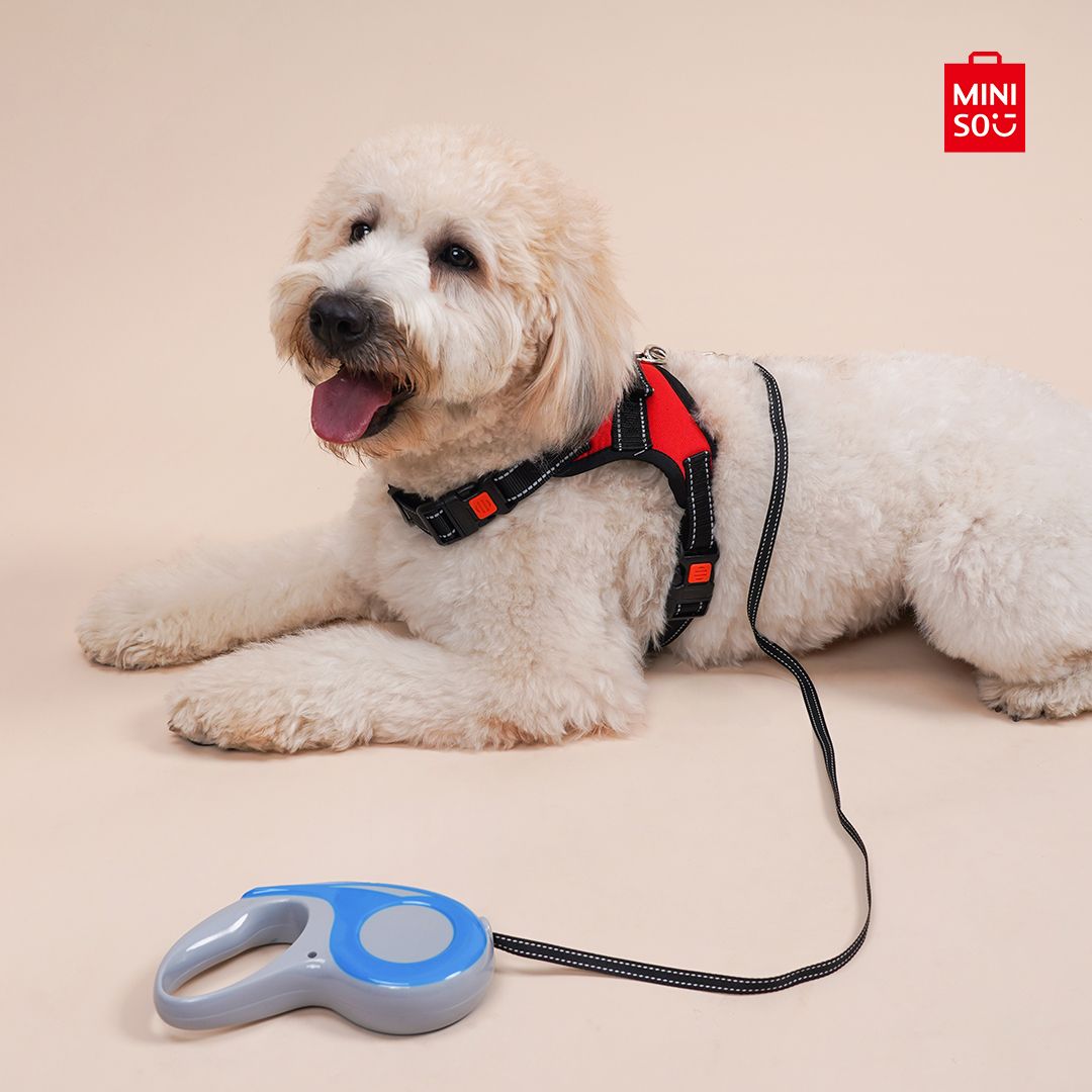 Miniso