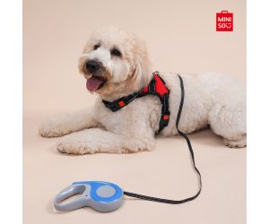 Miniso