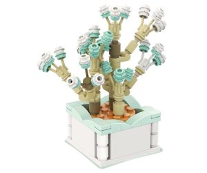 Miniso