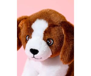 Miniso