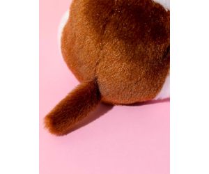 Miniso