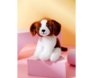Miniso