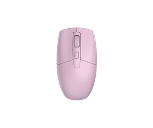 Miniso